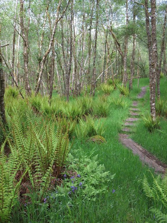 Inverawe Cottages Taynuilt Eksteriør bilde