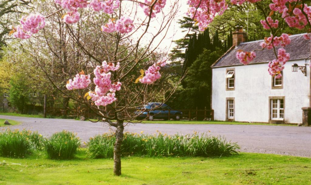 Inverawe Cottages Taynuilt Rom bilde